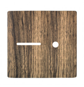 Placa p/ 1 Interruptor + Furo 4x4 - Novara Carvalho 